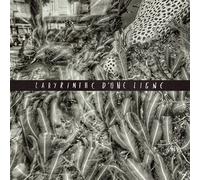 Labyrinthe d'une ligne CD