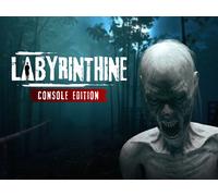 Labyrinthine Console Edition (PS5 Account)