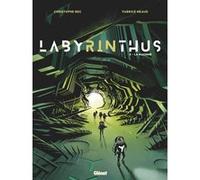 Labyrinthus - Tome 02 Christophe Bec (Auteur), Fabrice Neaud (Dessinateur)