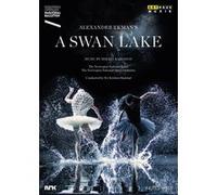 Lac des cygnes - Opéra d'Oslo 2014 E