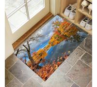 Lac La Jungle Paillasson Interieur Entree 45 X 75 Cm, Paysage d'automne Tapis D'Entrée Antidérapant Et Lavable en Machine, Tapis De Sol Absorbantes Couleurs Mélangées pour Chien, Porte, Couloir