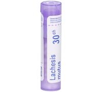 LachesisMutusBoiron30Chtube-granules Granulés 80 pc(s)