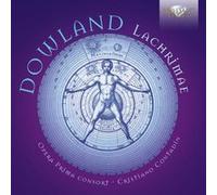 Dowland / Opera Prima Consort / Contadin – Lachrimae – CD – Edel