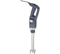 Lacor 69773 Fouet Professionnel de série variable w et 30 cm, 350 W [Classe énergétique A] G