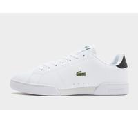 Lacoste Carnaby Cupsole - Blanc 43