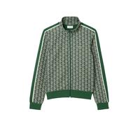 Lacoste Chemises vertes Verde Blu e verdi 6