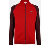 Lacoste Crew Neck Jumper Opera/Expresso S Male