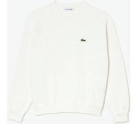 Lacoste Crew Sweater Crème 6 (34) Female