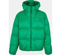 Lacoste Heavyweight Puffer Jacket Vert Fluorine L Male