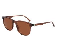 Lacoste Homme L6029S 210 Lunettes de soleil Bio-inject Marron Marron Carré Normale