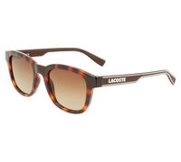 Lacoste Homme L966S 230 Lunettes de soleil Plastique Havane Marron Carré Ombré