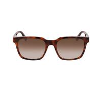 Lacoste 6028s Sunglasses Marron Medium Brown 5/CAT3