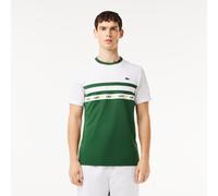 Lacoste Men's Regular Fit Pique T-Shirt Vert/Blanc S Male