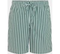 Lacoste Stripe Shorts BLI vert XL Male