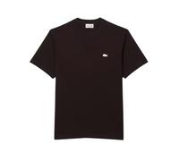 Lacoste T-shirt et Polo Brown Marrone Scuri