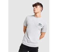 Lacoste T-shirt graphique Back Croc - Gris 7/XXLGE