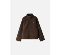 Lacoste Veste courte BH8672 pour S Marron