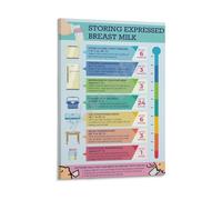 Lactation Education Poster Breast Milk Storage Chart Wall Art for Nursing Room Pump Station New Mom Reference Nursery Decor Canvas(Framed,16X24inch(40X60cm))