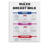 Lactation Education Poster Expressed Breast Milk Storage Instructions Canvas Wall Chart for Maternity Ward(Unframed,16x24inch(40x60cm))