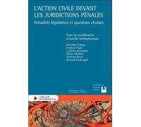 L'action civile devant les juridictions pénales - Actualités législatives et questions choisies