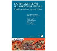 L'action Civile Devant Les Juridictions Pénales