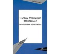 L'action économique territoriale Jean-François Joye (Auteur)