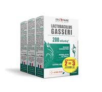 LACTOBACILLUS GASSERI X3- Naturel 200 milliards de Ferment - Hautement Dosé - L. Gasseri - Complexe Vivant - Gélules Végétales Gastro-Résistantes - Programme 90 J - Laboratoire Français Eric Favre