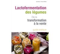 Lactofermentation des légumes: De la transformation à la vente