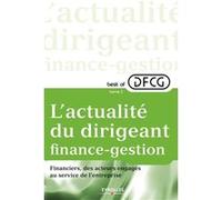 L'actualité du dirigeant finance-gestion Financiers, des acteurs engagés au service de l'entreprise. - Collectif - Eyrolles - broché - Etude