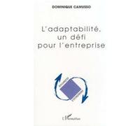 L'adaptabilité, Un Défi Pour L'entreprise