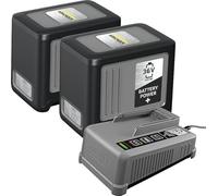 Ladegerät + 2x Akku 36V 6,0 Ah Starter Starter Kit Battery Power+ 36/60