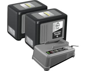 Ladegerät + 2x Akku 36V 6,0 Ah Starter Starter Kit Battery Power+ 36/60