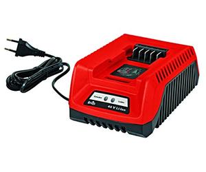 Ladegerät/Schnellladegerät für Grizzly 40 V System Akku