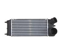Ladeluftkühler NRF Pour Ford Fiesta VI