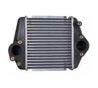Ladeluftkühler Turbokühler Luftgekühlt Compatible Pour Mazda CX-7 ER 6 Kombi GH