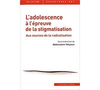 L'adolescence À L'épreuve De La Stigmatisation - Aux Sources De La Radicalisation | Occasion