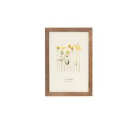 LADONNA Radon'na Avanti Interior Frame DF53-P Brown