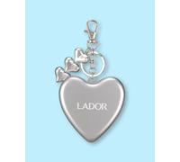 La'dor Peigne multifonctionnel porte-clés pour cheveux Heart Brush - 1 pc Grey