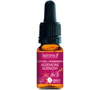Ladrôme Aigremoine/Agrimony Flacon 10ml
