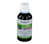 Ladrôme Échinacée pourpre - Extrait bio Teinture(S) 50 ml