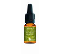 Ladrôme Églantier N°37 Goutte(S) 10 ml