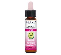 Ladrôme Elixirs Floraux N°17 Gnavelle Bio 10ml