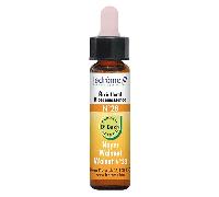 Ladrôme Elixirs Floraux N°28 Noyer Bio 10ml