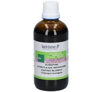 Ladrôme Extrait d'Aubépine Simple Bio Teinture(S) 100 ml