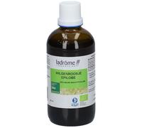 Ladrôme Extrait de Épilobe à Petites Fleurs Bio Teinture(S) 100 ml