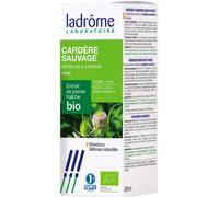 Ladrôme Extrait de plante bio – Cardère sauvage – 50 ml