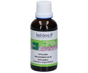 Ladrôme Extrait de plante fraîche Épilobe Bio Teinture(S) 50 ml
