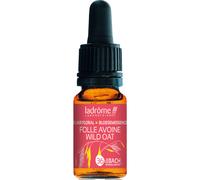 Ladrôme Folle Avoine N°36 10ml