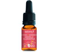 Ladrôme Gravele Alène/Scleranthus 10ml