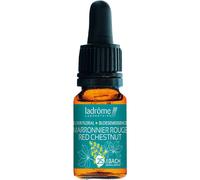 Ladrôme Marronier Rouge/Red Chestnut Flacon 10ml
